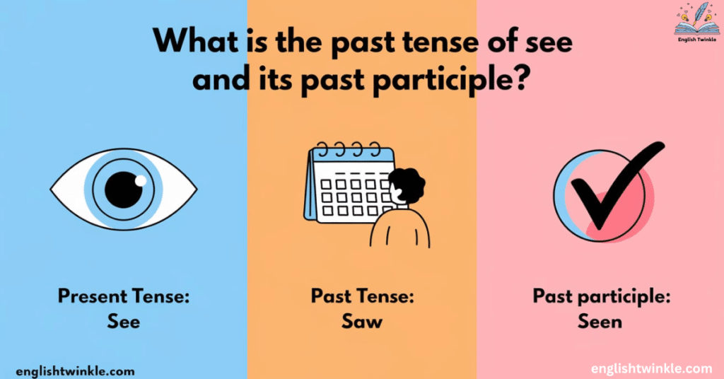 What is the Past Tense of See and its Past Participle? - English Twinkle