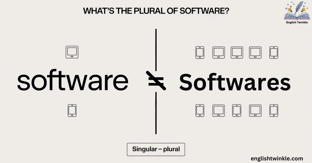 Plural of Software